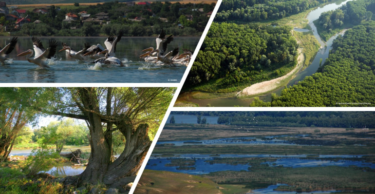 DISCOVER NATURAL BEAUTIES OF THE DANUBE